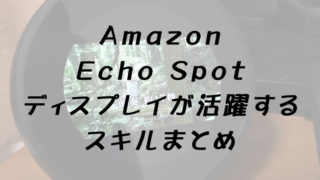 エコースポットスキル